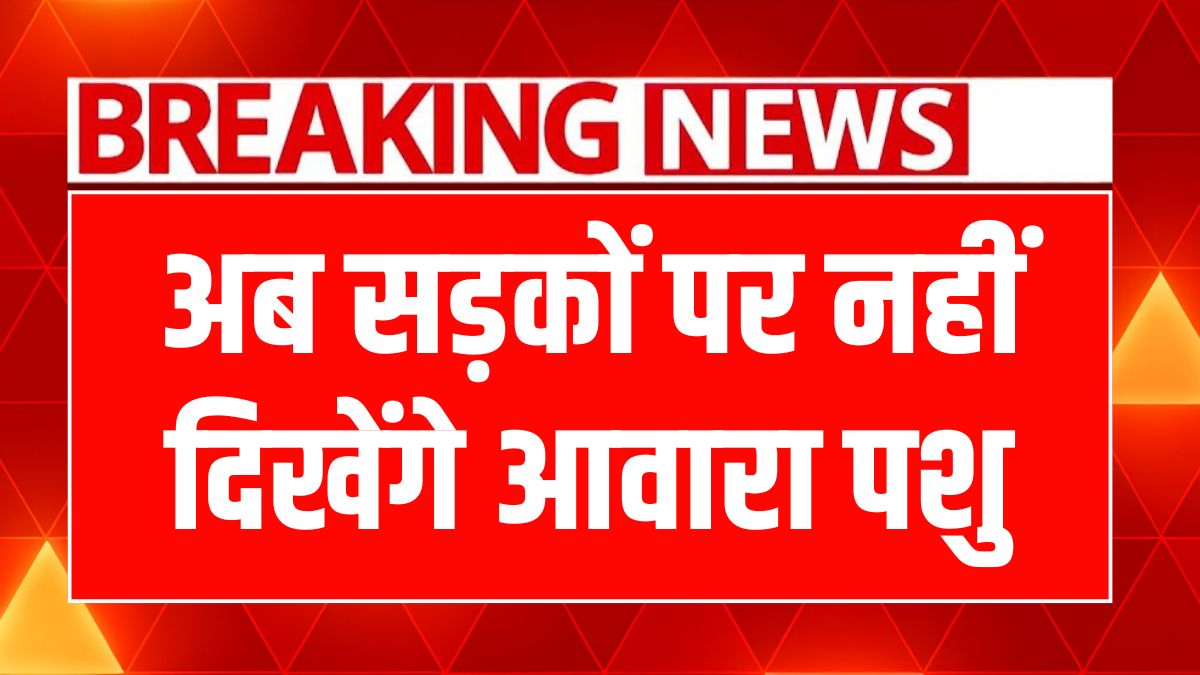 हरियाणा में आवारा पशुओं पर कड़ा एक्शन: जुर्माना और GPS टैगिंग लागू!