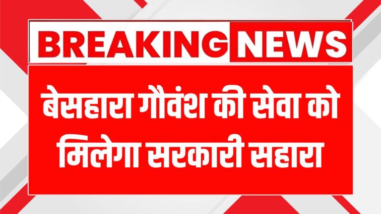 गुरुग्राम में गौशालाओं के विकास के लिए नगर निगम की नई पहल!