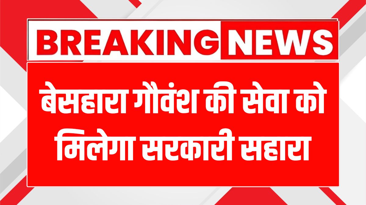 गुरुग्राम में गौशालाओं के विकास के लिए नगर निगम की नई पहल!