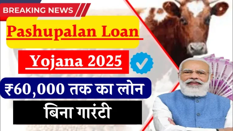 पशुपालन लोन योजना 2025: किसानों को मिलेगी 12 लाख तक की आर्थिक मदद!