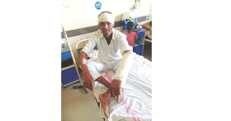 घर के सामने बर्बरता: पौधे लगाने पर दो लोगों पर लाठी से हमला